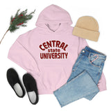 Unisex Central state university Heavy Blend™ Hooded Sweatshirt