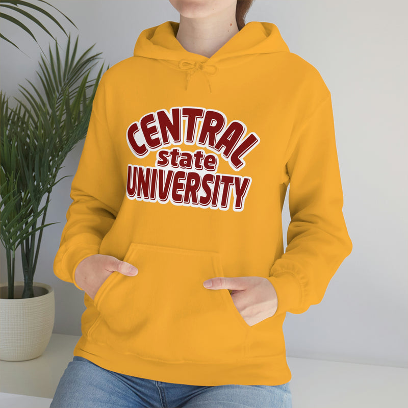 Unisex Central state university Heavy Blend™ Hooded Sweatshirt