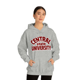 Unisex Central state university Heavy Blend™ Hooded Sweatshirt