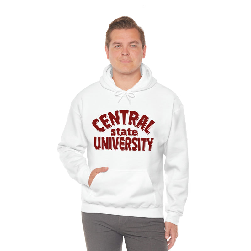 Unisex Central state university Heavy Blend™ Hooded Sweatshirt